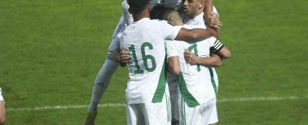 Algeria Libya a successful but difficult start for the