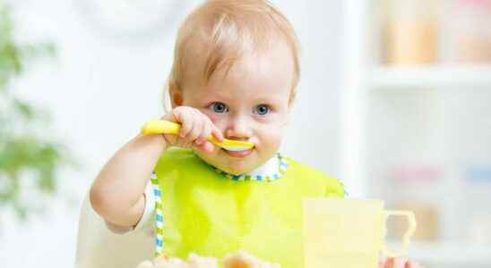 Baby dishes the essentials for meals