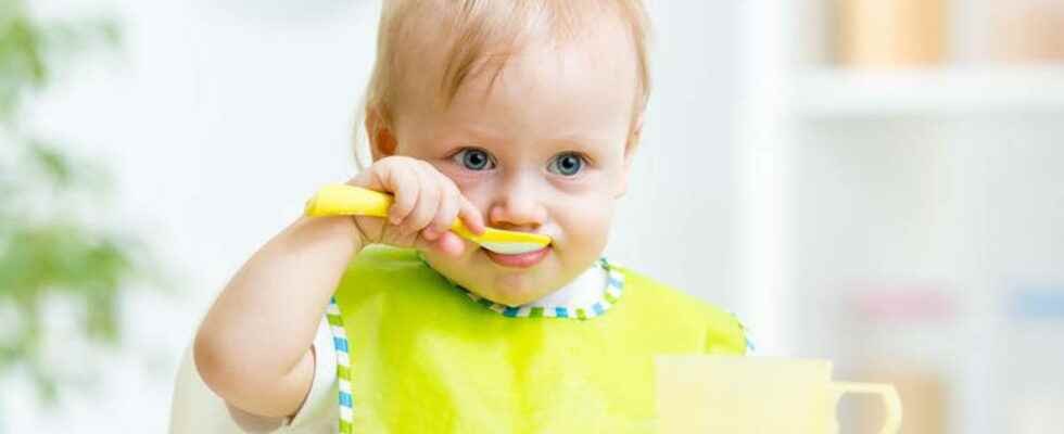 Baby dishes the essentials for meals