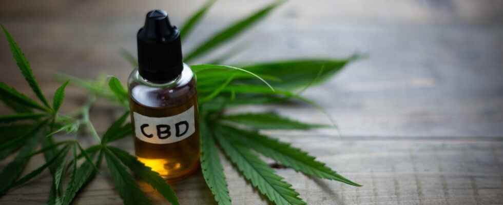 CBD oil what is it benefits how to use it