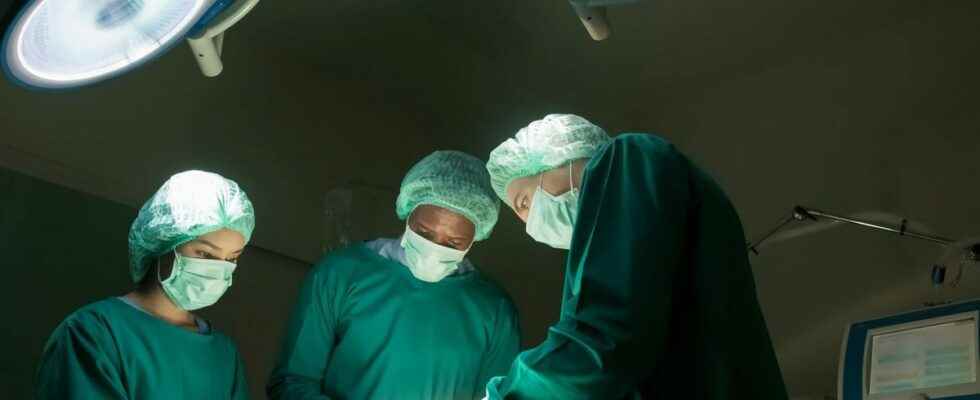 Cancer surgeons extract his kidney before transplanting it with a