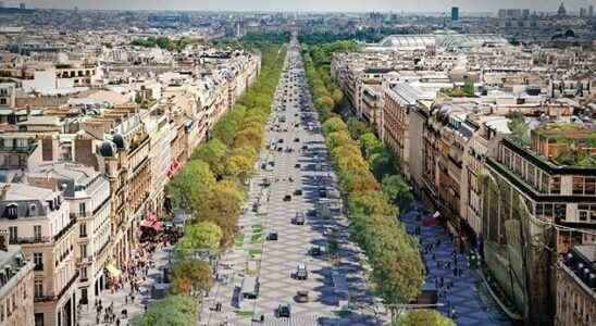 Champs Elysees a project for a greener and more pleasant avenue