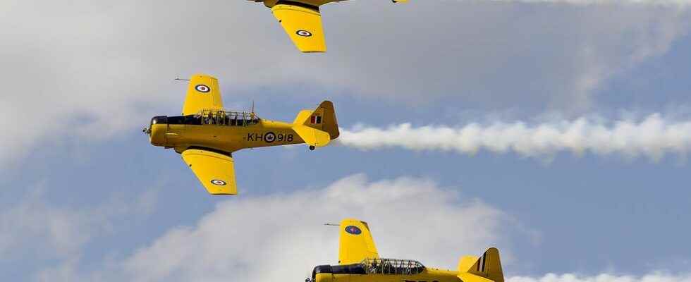 City will investigate possibility of taking over Brantford airshow