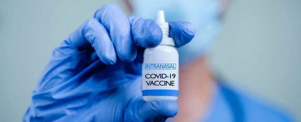 Covid 19 India has approved its first nasal vaccine