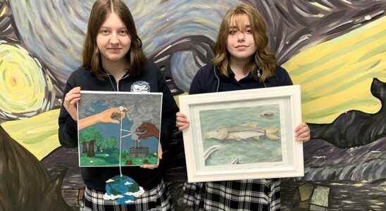 Creating awareness of environmental issues through art