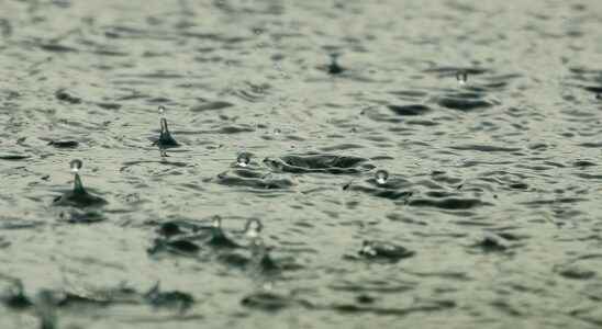 Downpours cause high water levels in the province the Vijfheerenlanden