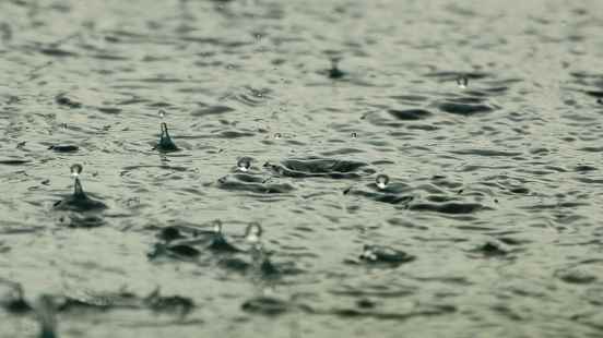 Downpours cause high water levels in the province the Vijfheerenlanden