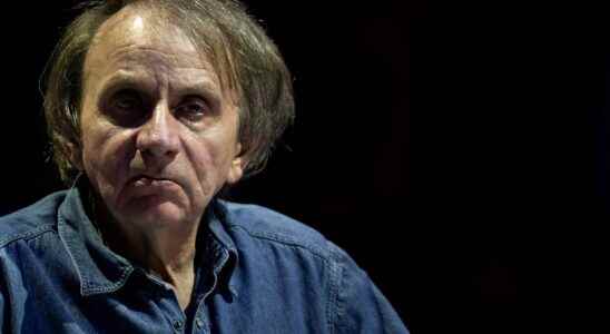 Economics according to Houellebecq and Onfray by Nicolas Bouzou