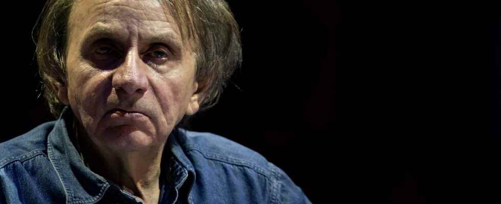 Economics according to Houellebecq and Onfray by Nicolas Bouzou