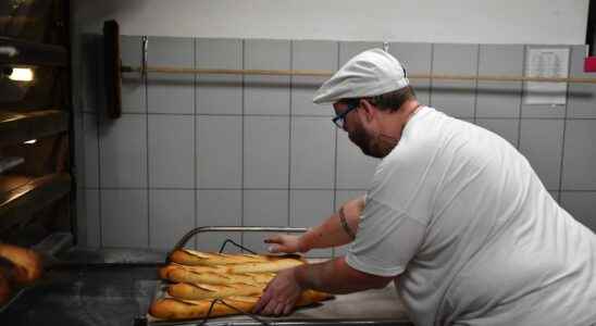 Energy prices how the government is trying to address bakers