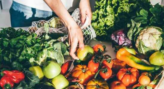 Food of tomorrow vegetables created in the laboratory