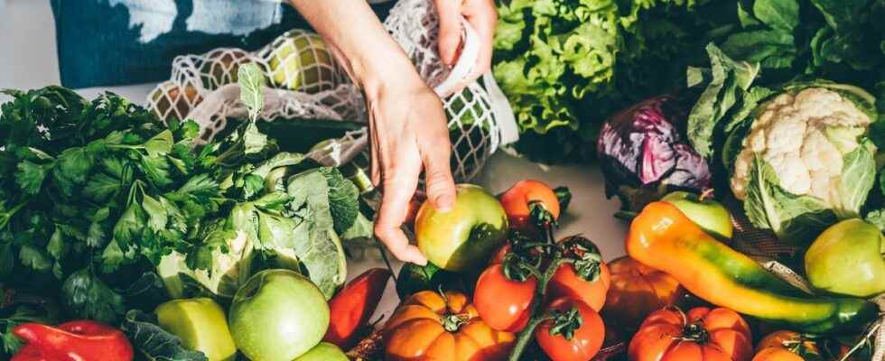 Food of tomorrow vegetables created in the laboratory