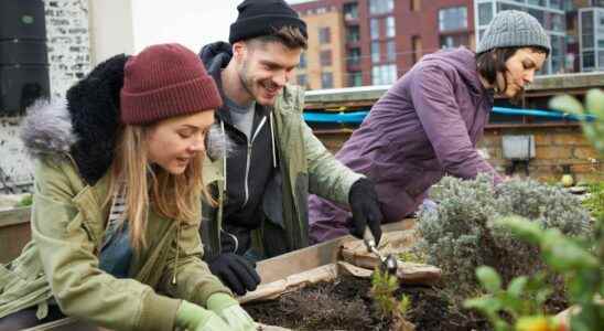 Gardening a good way to eat better and move more