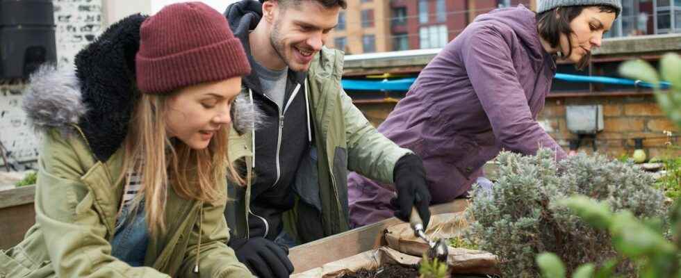 Gardening a good way to eat better and move more