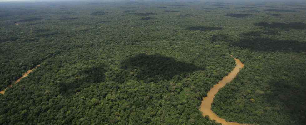 Germany pledges 200 million euros to Brazil