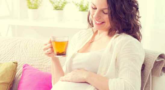 Herbal tea and pregnancy which plants to take or avoid