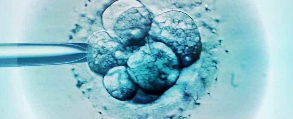 IVF discovery of an algorithm that would increase success rates