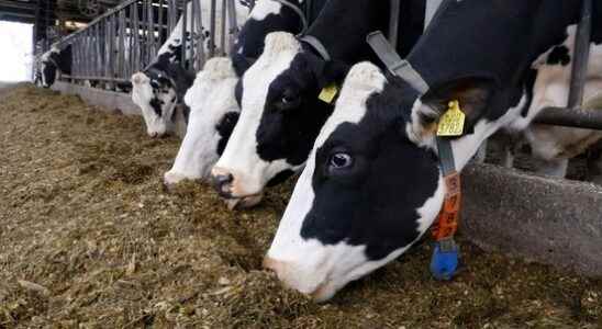 Landowners Kromme Rijn oppose the fermentation plant in Cothen