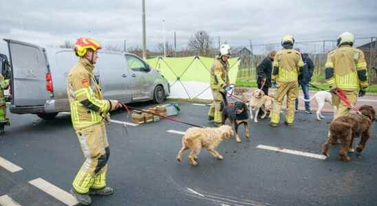 No fire but Fikkie fire brigade in action after accident