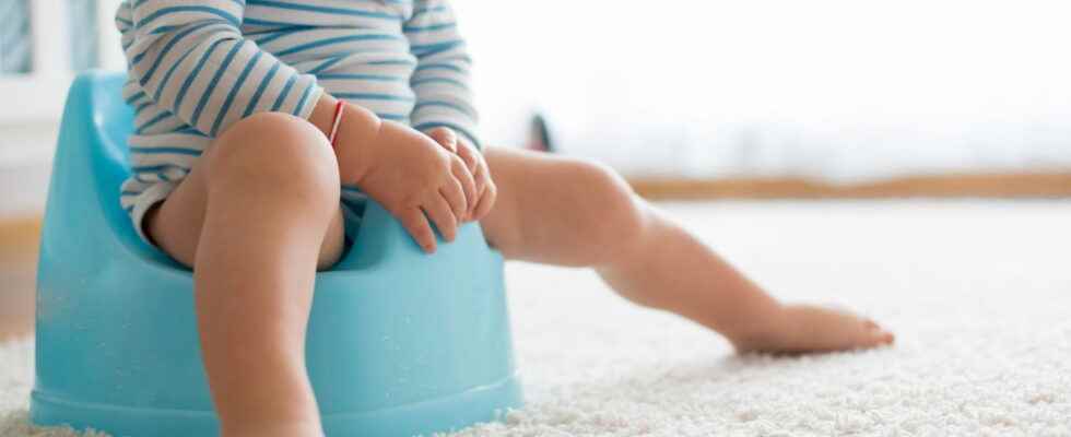 Potty training at what age should you start potty training