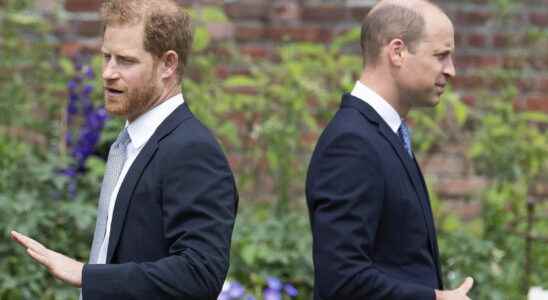 Prince Harry attacks his brother William by describing a violent