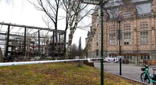 Prison for restaurant fires in Stockholm