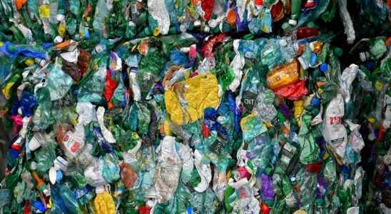 Recycling plastic packaging how Lithuania became a European champion