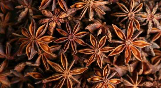 Star anise star anise benefits infusion how to use it