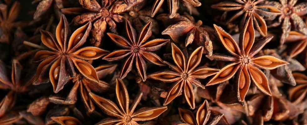 Star anise star anise benefits infusion how to use it