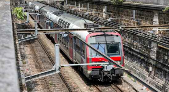 Strike of January 19 in the RER A B C