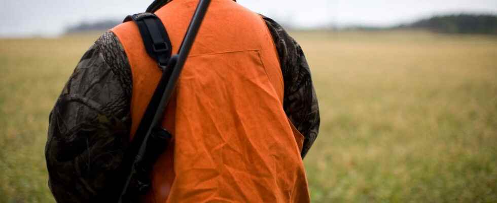 The Government has just proposed several measures to limit hunting