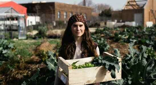 Tipi market gardening city Cycloponics When agriculture settles in the