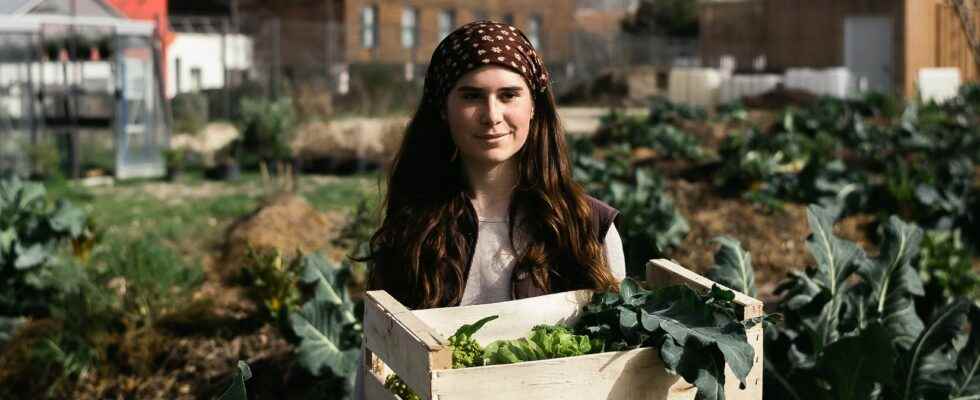 Tipi market gardening city Cycloponics When agriculture settles in the