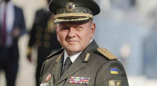 War in Ukraine Valeri Zaloujny the general who humiliated Putin