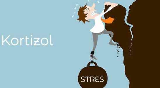 We can control stress now It comes out from under