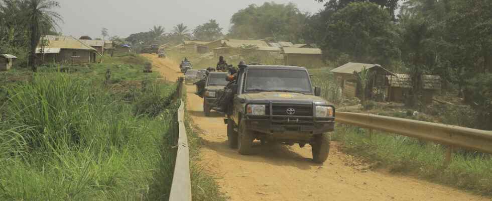 a new attack by the ADF kills dozens near Beni