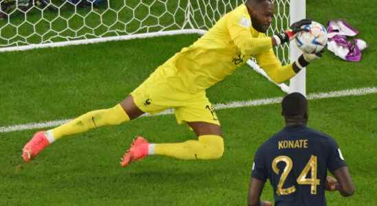 five days after Lloris Mandanda announces his international retirement