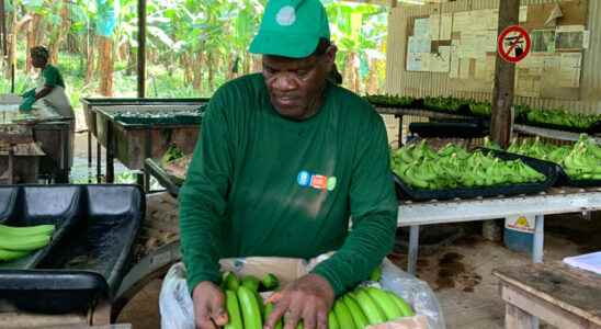 screening of agricultural employees generalized from the beginning of February