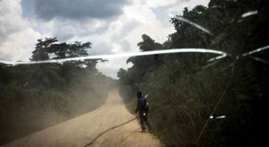 three mass graves discovered in Ituri with at least 50