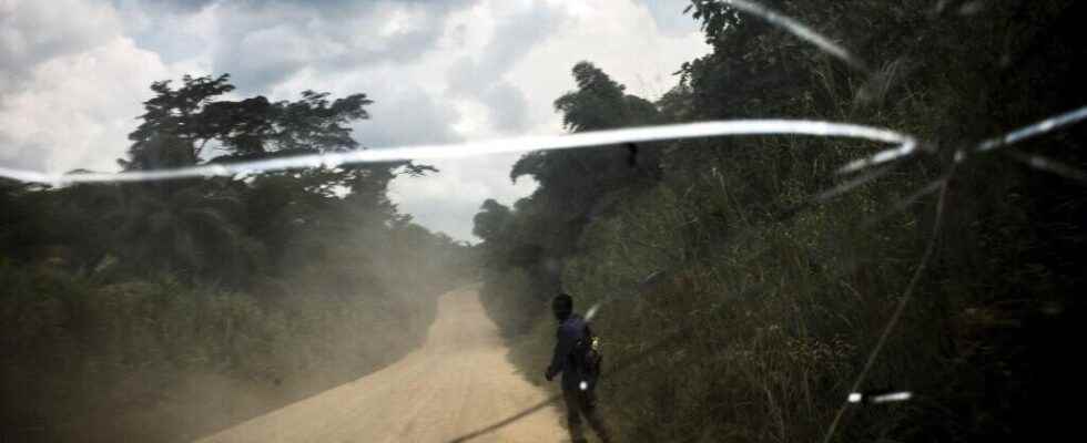 three mass graves discovered in Ituri with at least 50