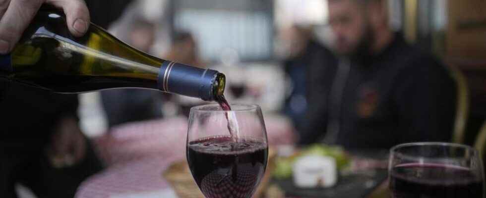 truths and untruths about wine and cancer