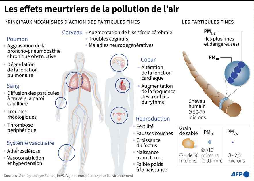 The health effects of air pollution