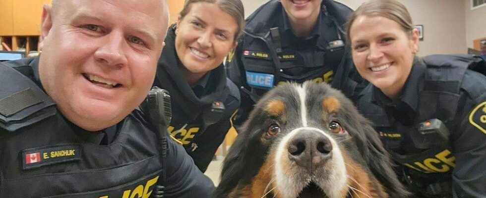 1676939975 Dog day at the Norfolk OPP detachment