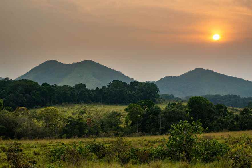 The view of the savannah from the scientific station of La Lopé National Park.