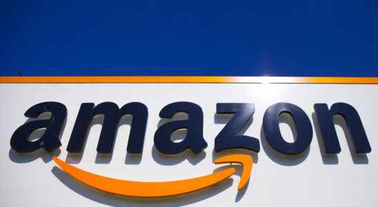 Amazon sentenced in Spain for employing 2166 false self employed