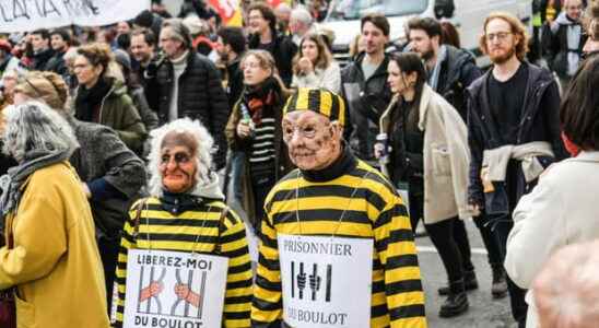 Anti pension reform demonstrations the best placards