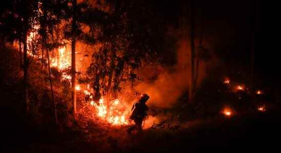 At least 23 dead in fire ravaged Chile