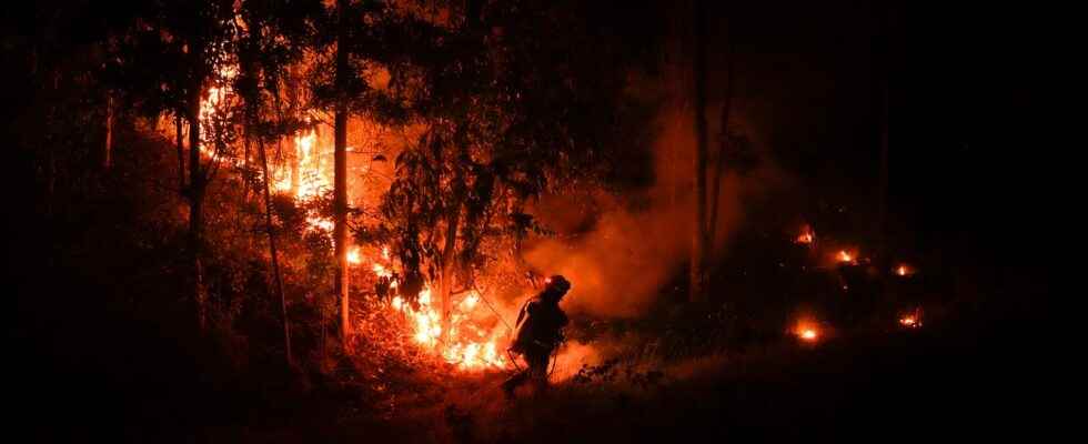 At least 23 dead in fire ravaged Chile