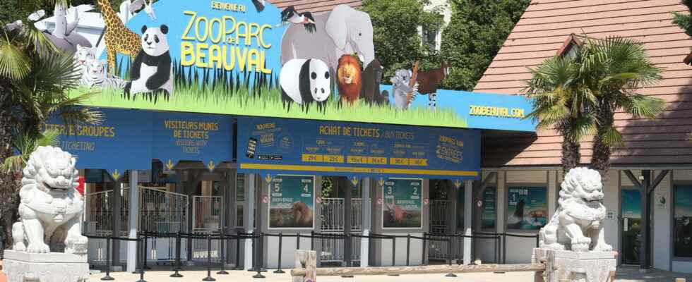 Beauval Zoo whats new