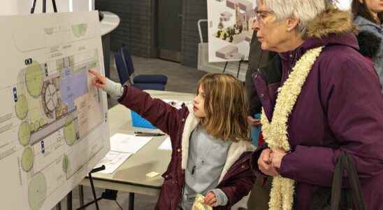 Brant residents learn details of new Paris library project